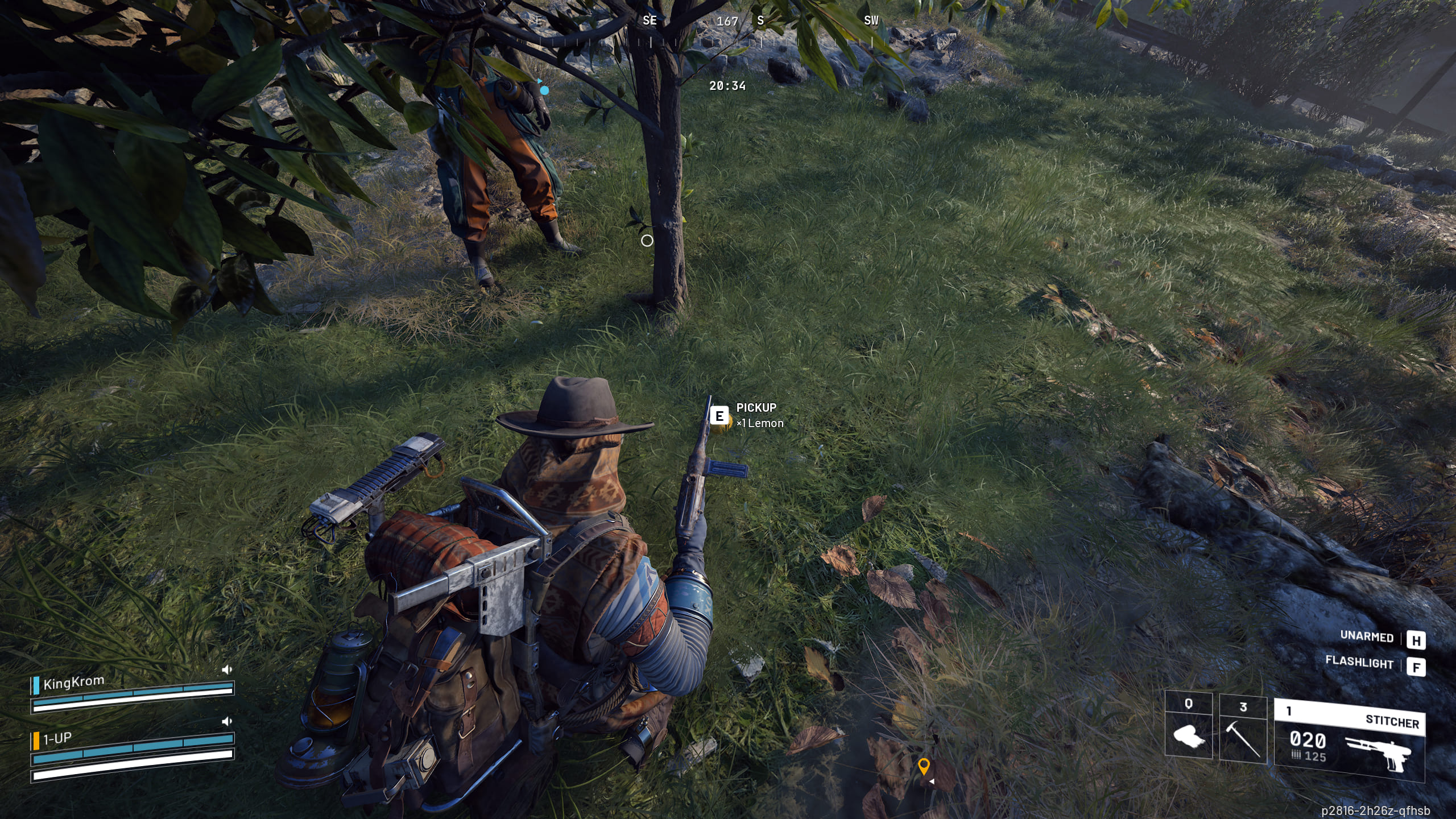 Фруктове дерево Olive Groove Arc Raiders