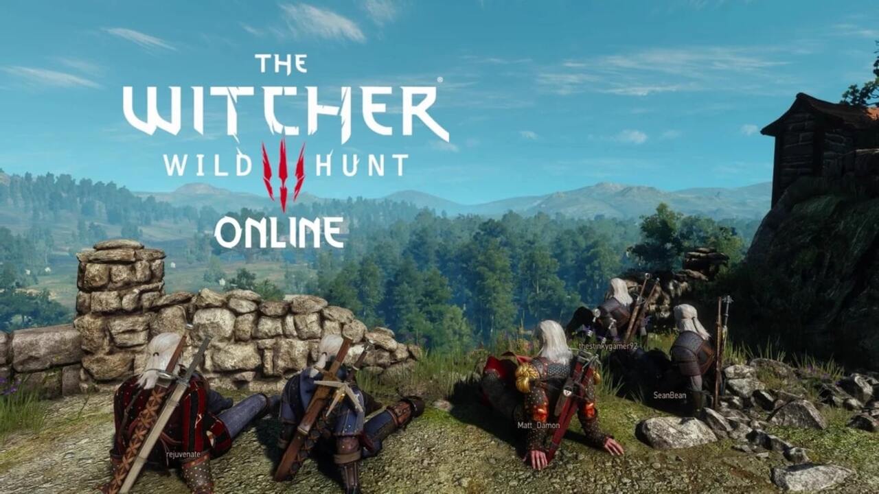Для Відьмак 3 вийшов мод Witcher Online, який додає мультиплеєр
