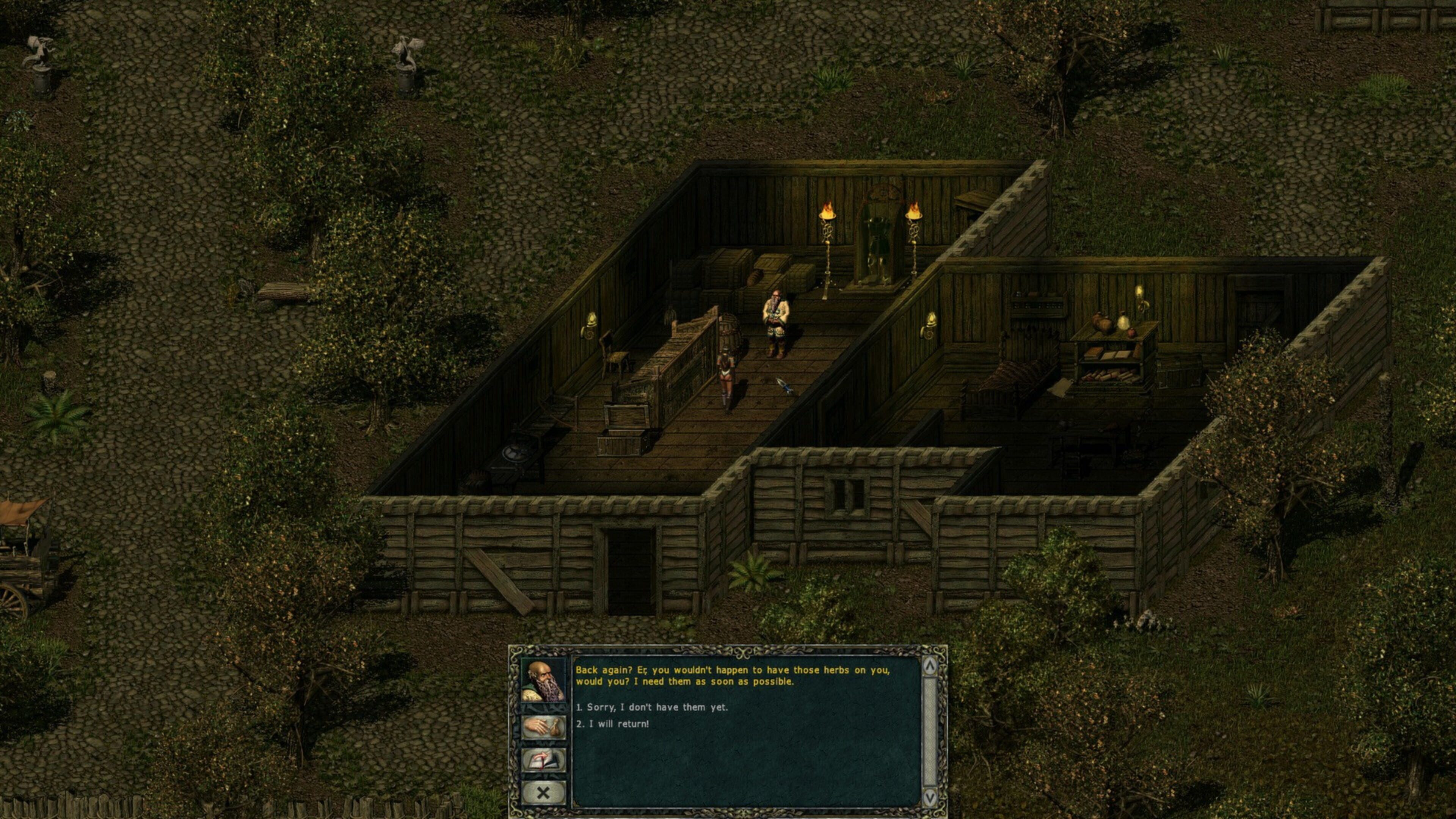 Divine Divinity скриншот 2