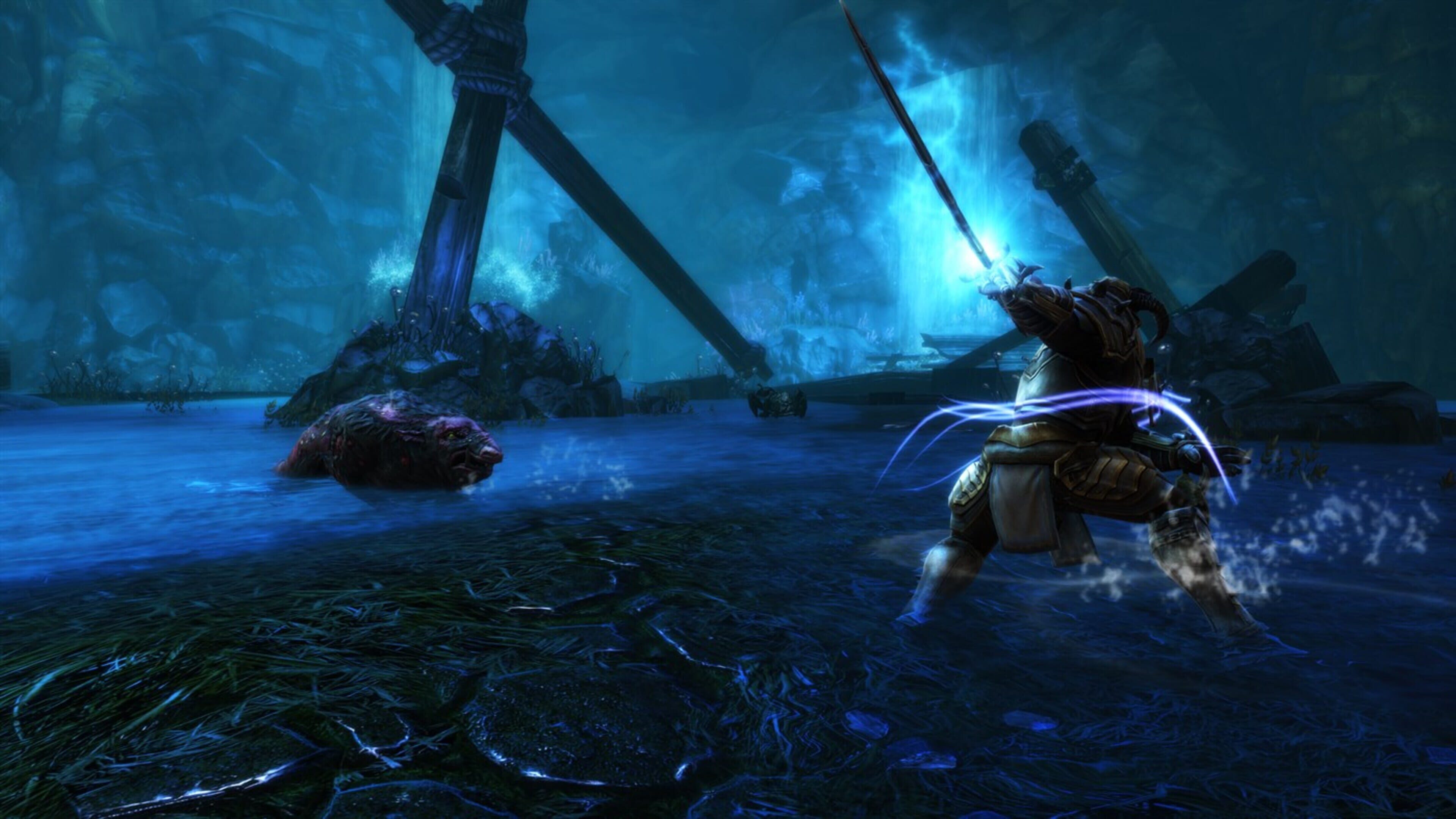 Kingdoms of Amalur: Re-Reckoning скриншот 3