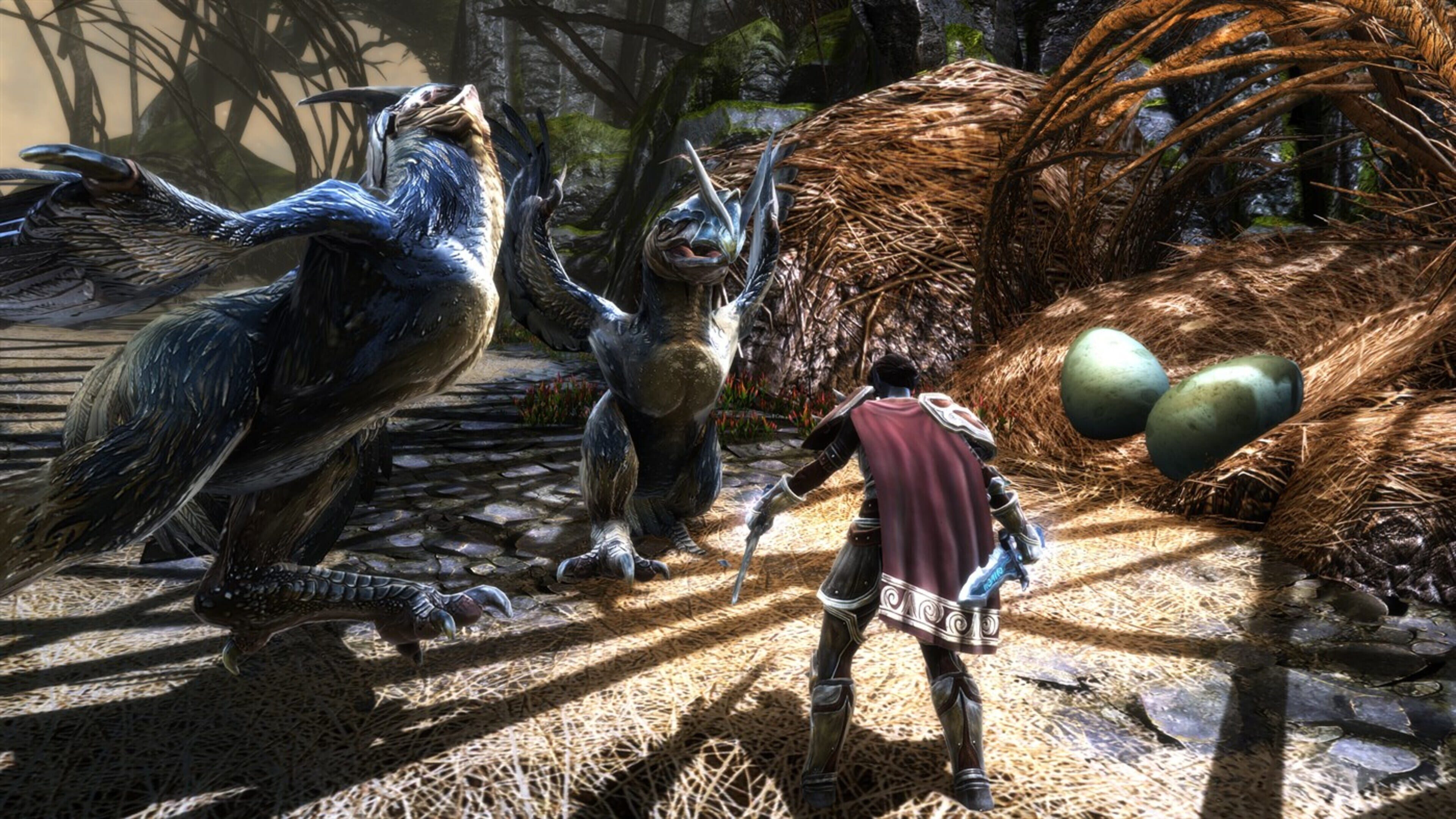 Kingdoms of Amalur: Re-Reckoning скриншот 4