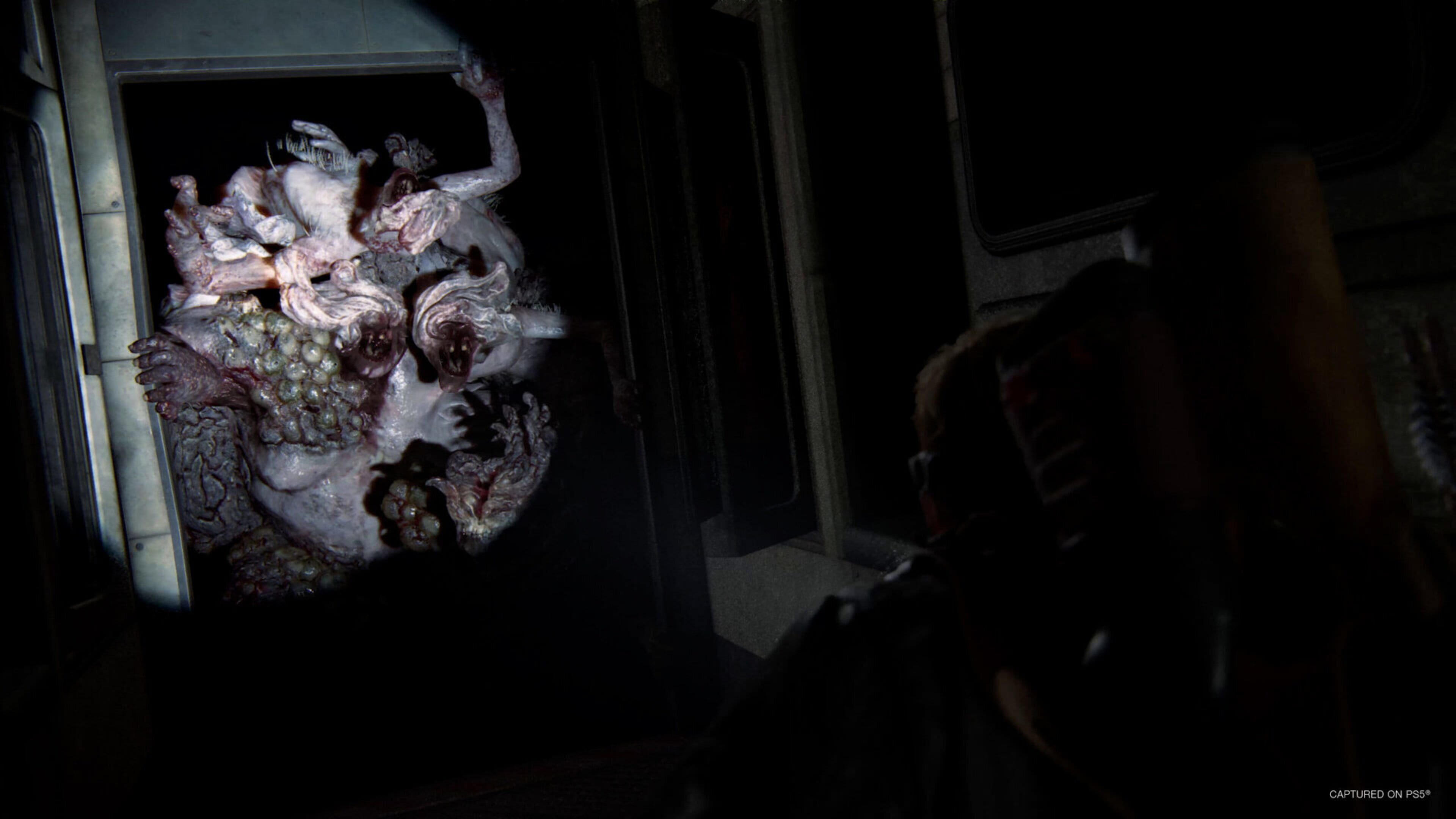 Картинка 3 з гри The Last of Us Part II Remastered The Last of Us Part II Remastered скриншот 3