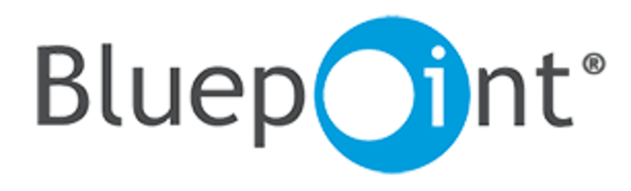 Bluepoint Games