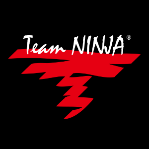 Team Ninja